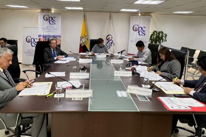 El Pleno del Consejo de Participación conoció las renuncias el 19 de abril.