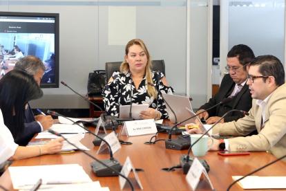 Cita. Miembros de la Comisión escucharon los aportes.