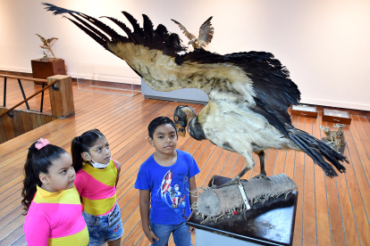 Un grupo de niños observa uno de los ejemplares que conforman la muestra en el Museo Municipal de Guayaquil.