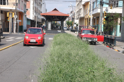 Las jardineras que separan la vía exclusiva por donde pasarán las unidades están llenas de maleza.