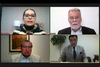 El cronograma fue aprobado por el Pleno en sesión virtual.