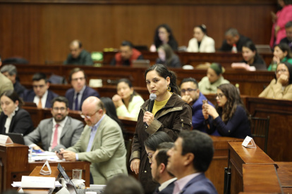 Mireya Pazmiño es una de las proponentes del juicio político en contra del presidente Guillermo Lasso.