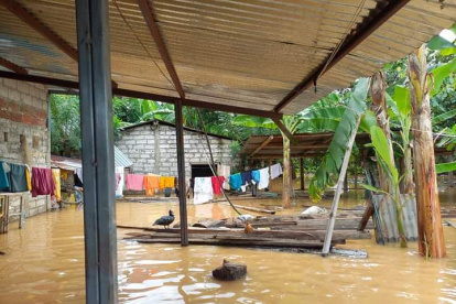 Dato. Las provincias más afectadas son Guayas, Los Ríos, Manabí, Santa Elena, El Oro, Cotopaxi, Santo Domingo, Esmeraldas, Imbabura y Chimborazo.