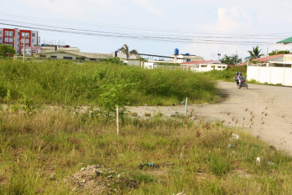 Maleza. En toda la ciudadela, este es el panorama que prevalece. Hay monte crecido en cada esquina y solar.