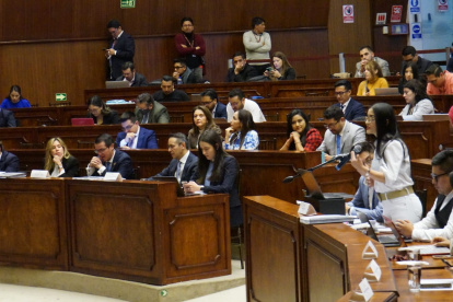 Viviana Veloz fue designada por Pedro Zapata (PSC), Rodrigo Fajardo (ID) y Mireya Pazmiño para que exponga los alegatos de la parte acusadora.