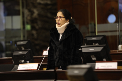 Víctima. El 12 de julio de 2022, Gissella Molina se presentó en el Pleno de la Asamblea y acusó al equipo del legislador Peter Calo de haber tratado de matarla.