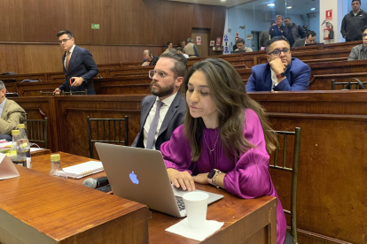 Rol. Andrea Poveda fue secretaria de la Comisión de Régimen Económico.