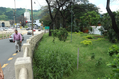 Quienes transitan por esta área deben acelerar el paso para evitar ser picados por los mosquitos.