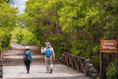 Los créditos buscan dinamizar al sector turístico.