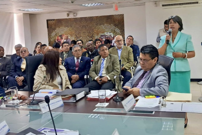 El Consejo de  Participación le "insta" al subcontralor general Alberto Jhayya que asuma la institución