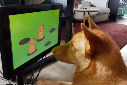 El juego ayuda a llevar una vida más sana y detectar enfermedades.