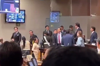 El altercado distrajo a los asambleístas del debate sobre la Ley de Salud Mental.