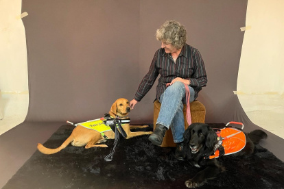En Quito se encuentra la primera escuela dedicada a entrenar perros guías del país. Es una fundación sin fines de lucro.