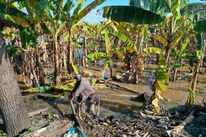 Las lluvias han golpeado a diferentes productores del país. El clima ha sido uno de los factores que deben considerar con más cuidado los agricultores en estos meses.