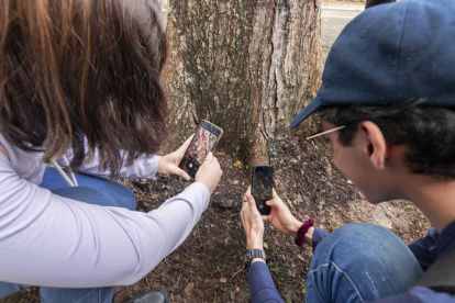 Los participantes tomaron fotografías de la flora y fauna en el Bosque Protector La Prosperina.