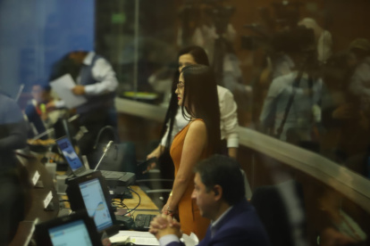 La asambleísta Viviana Veloz insinuó que el informe de la Comisión de Fiscalización sugiriendo no seguir con el juicio político se hizo en Carondelet.