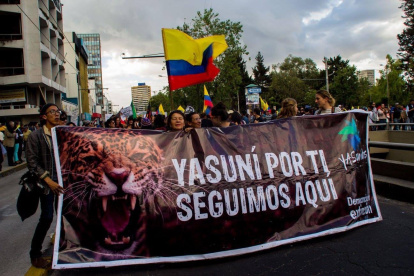 El colectivo se mantuvo activo mientras el trámite estaba en la Corte Constitucional.