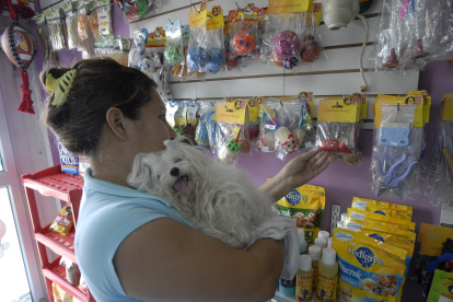 VENTA DE INSUMOS PARA MASCOTAS_ARCHIVO
