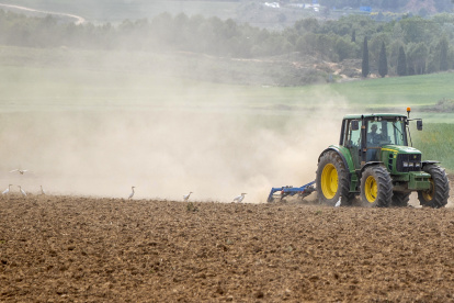 Un agricultor labra con tractor la tierra, donde la escasez de lluvias y las altas temperaturas provocan una gran polvareda, en Logroño.