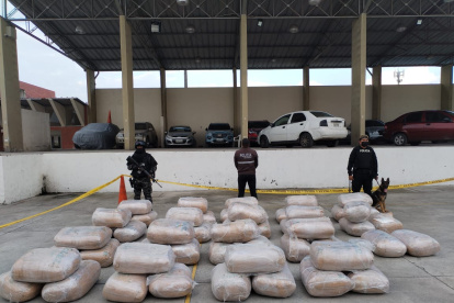 Hallazgo. El destino de los alcaloides era Bélgica.