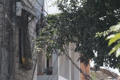 Asomarse por las ventanas, para los residentes de Sauces IV, es como estar en una selva..