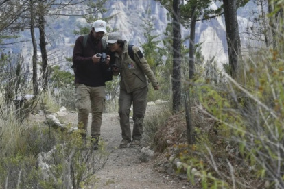 El reto en general acumuló 1.870.763 observaciones, más de 57.000 especies registradas y 66.394 participantes en los 46 países.