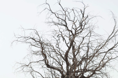 Países vecinos prevén que crisis de desplazados o inseguridad