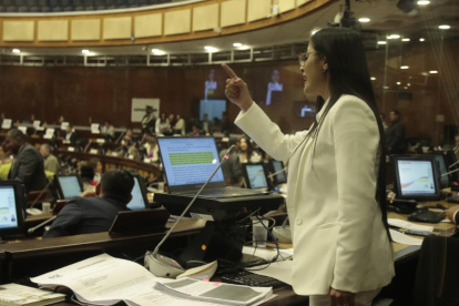 Viviana Veloz, legisladora interpelante del mandatario, argumentó la imputación de peculado.