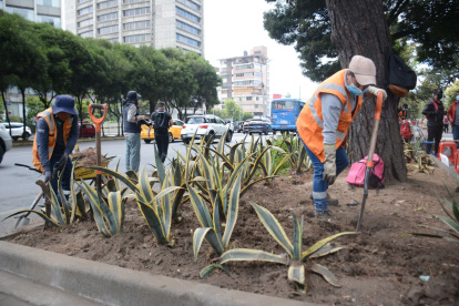 Inversión. Más de 20 mil dólares se destinaron para colocar nuevas plantas