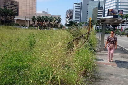 Problema. El monta ya topa con las estructura de un paradero.