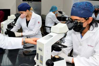 Las universidades públicas y privadas crearon centros de diagnóstico y de secuenciación del virus.