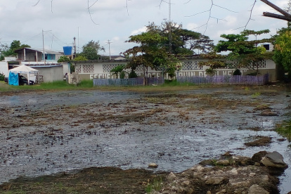 La escuela fiscal José Joaquín de Olmedo, del recinto Las Maravillas, del cantón Daule, sufre los efectos de las inundaciones causadas por las lluvias.