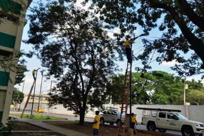 Solución. Las reparaciones de las luminarias devolvieron la luz al barrio.