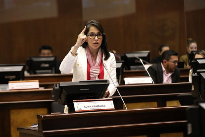 González fue parte de la Asamblea Nacional disuelta el 17 de mayo pasado por el presidente Guillermo Lasso.