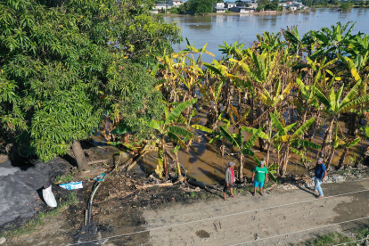 El sector agrícola no está preparado para un fenómeno de El Niño de gran magnitud.