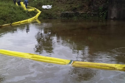Acciones. En la limpieza han intervenido varias instituciones.