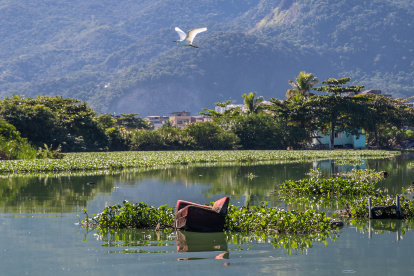 Un sofá abandonado cerca a una orilla de la Laguna de Camorim, el 16 de mayo de 2023, en Jacarépaguá Río de Janeiro (Brasil)