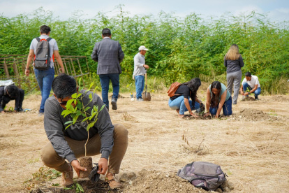 En un área de cinco hectáreas de la UPSE se plantaron las especies.