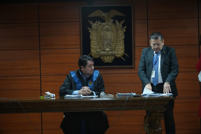 Diligencia. La audiencia de revisión de medidas se realizó hace casi dos meses en la Corte.