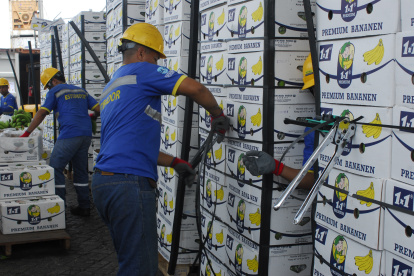 El sector este año ha visto mejorar sus ventas. Hasta abril incrementaron un 4 % su oferta.