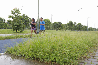 Los ediles aseguran que un pedido similar se debe hacer con la isla Santay y el parque Forestal, que también están en situaciones deplorables, como lo ha venido publicando EXPRESO.