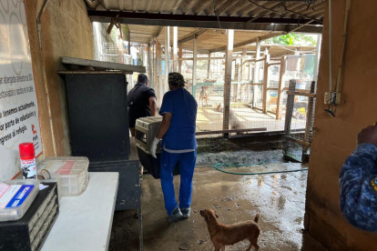 Hecho. La acción se dio la tarde del jueves 1 de junio.