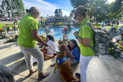 Terapia. Una joven acaricia un perro de consuelo, en un parque privado.