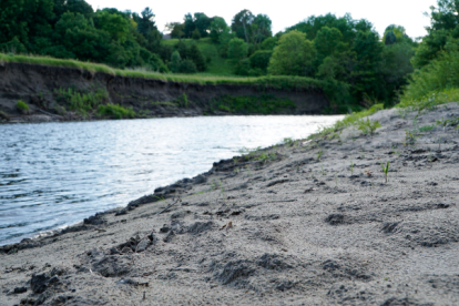 Referencial de orilla de río