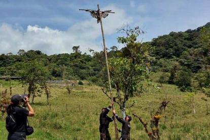 En Quijos, provincia de Napo hallaron crucificada a un águila andina