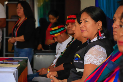 CNE avanza en el calendario electoral