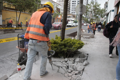Remoción. Se busca dar más amplitud a los árboles del lugar.