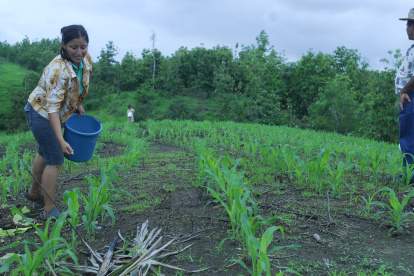 El nuevo precio regirá luego de elaborarse un acuerdo ministerial, previsto para la próxima semana.