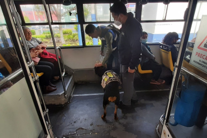 La brigada canina del trole ha ayudado en la seguridad de los pasajeros.