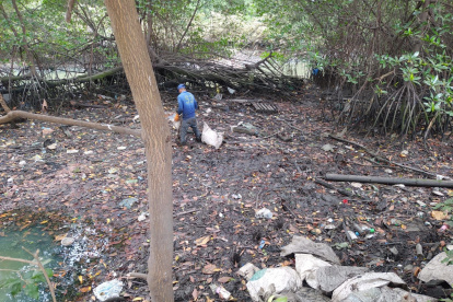Hecho. La jornada de limpieza se dio el viernes 9 de junio.